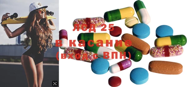 индика Алзамай