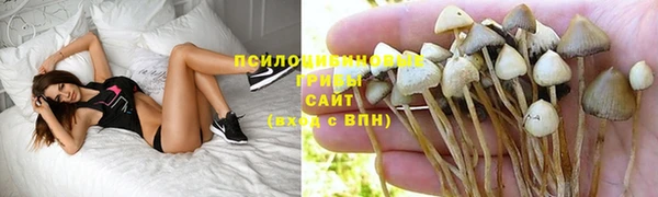 каннабис Алексин
