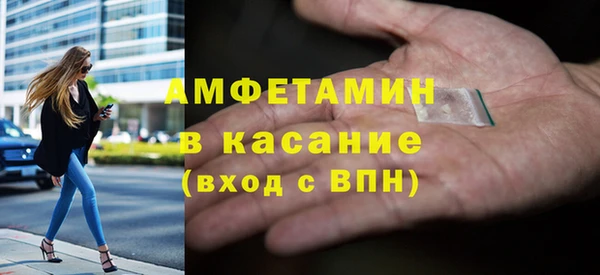 индика Алзамай