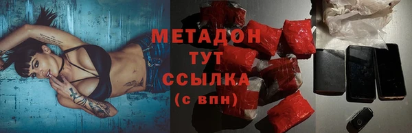 индика Алзамай