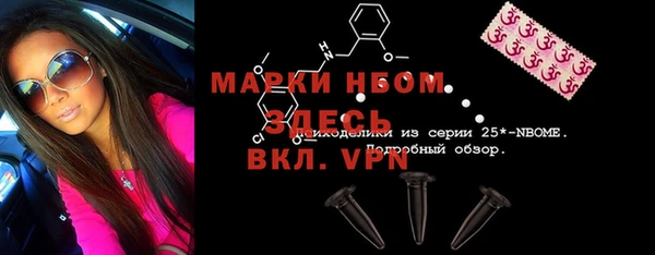 хмурый Сатка