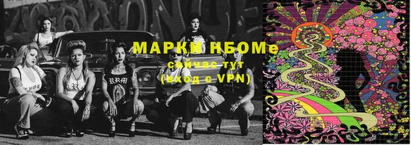 индика Алзамай
