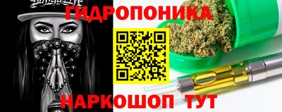 индика Брянск