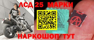 индика Брянск