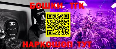 индика Брянск