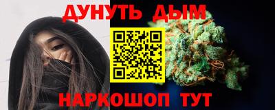 индика Брянск