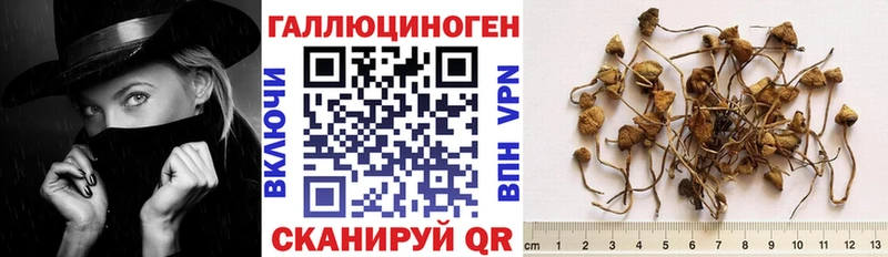 Галлюциногенные грибы Cubensis Курганинск