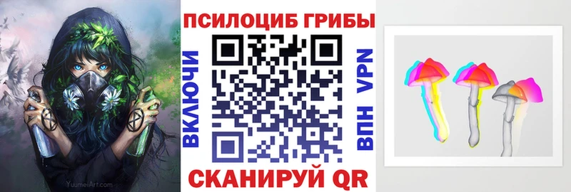 мега ссылка  Курганинск  Галлюциногенные грибы Magic Shrooms  это состав  где можно купить наркотик 