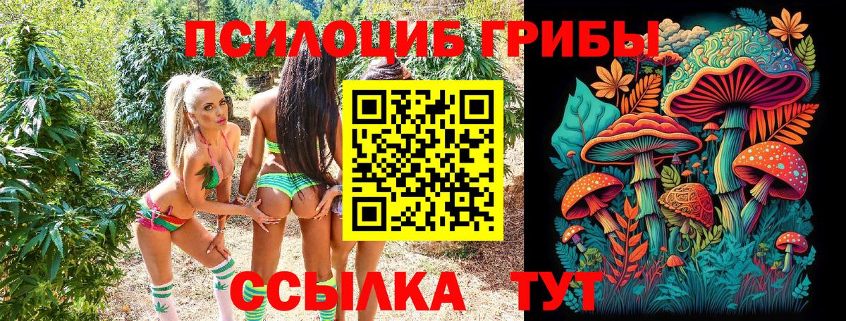 Галлюциногенные грибы Psilocybe  Вход с VPN  хочу   Курганинск 