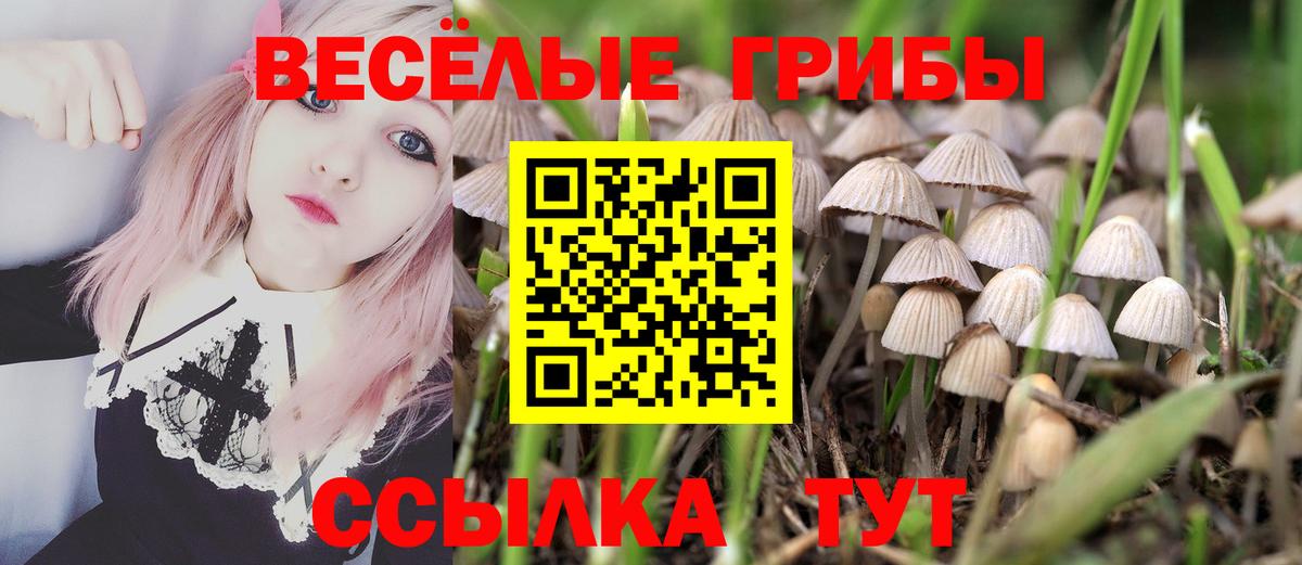 Галлюциногенные грибы мицелий Курганинск